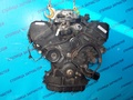 Двигатель - CELSIOR UCF20, UCF21 1UZFE - Катушки - 19000-50390, 19000-50391 - 1997-2000 - 